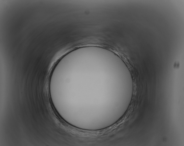 X0000094810004200711161015