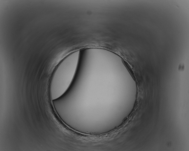X0000094810005200711161015