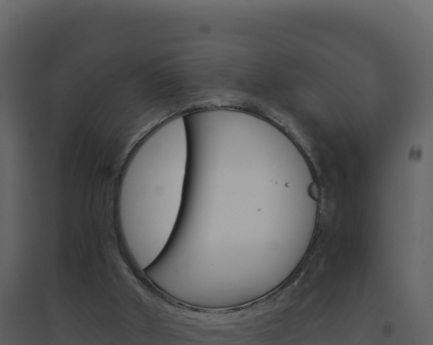 X0000094810010200711161015