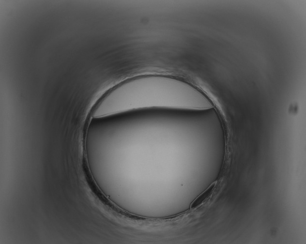 X0000094810011200711161015