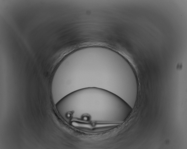 X0000094810013200711161015