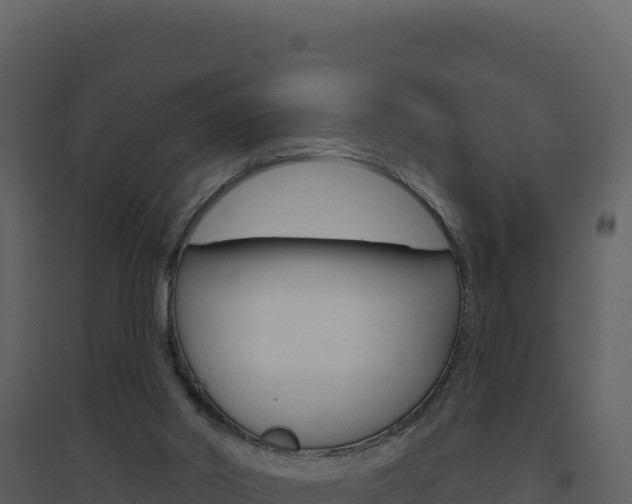 X0000094810014200711161015