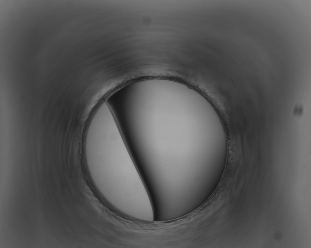 X0000094810015200711161015
