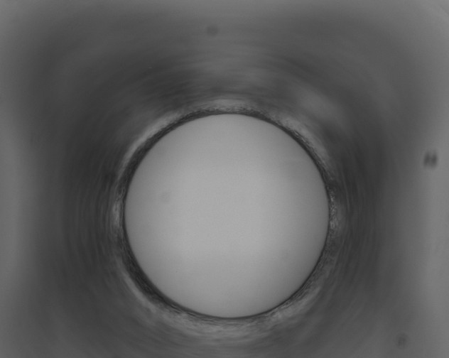 X0000094810016200711161015
