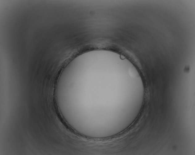 X0000094810018200711161015