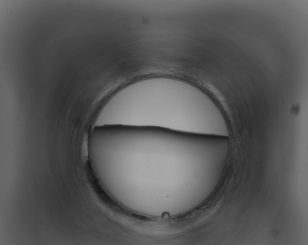 X0000094810020200711161015