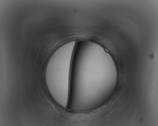 X0000094810021200711161015