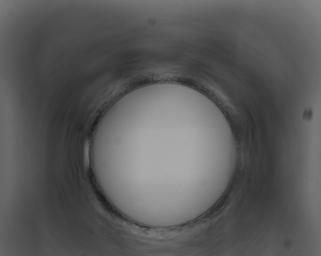 X0000094810022200711161015