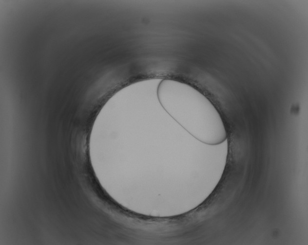 X0000094810024200711161015