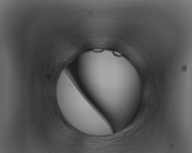 X0000094810025200711161015