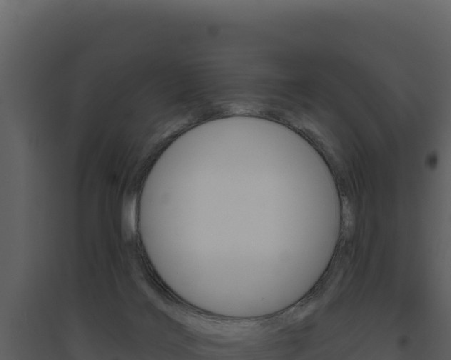 X0000094810028200711161015