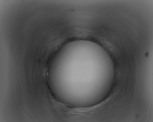 X0000094810033200711161015