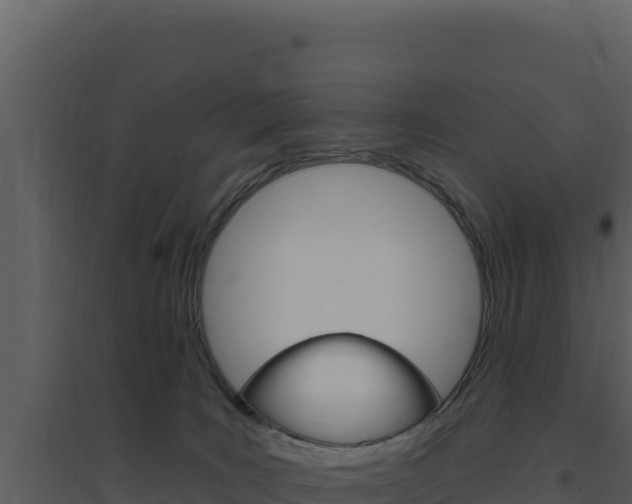 X0000094810035200711161015