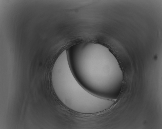 X0000094810037200711161015