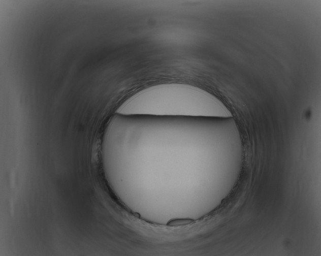 X0000094810038200711161015