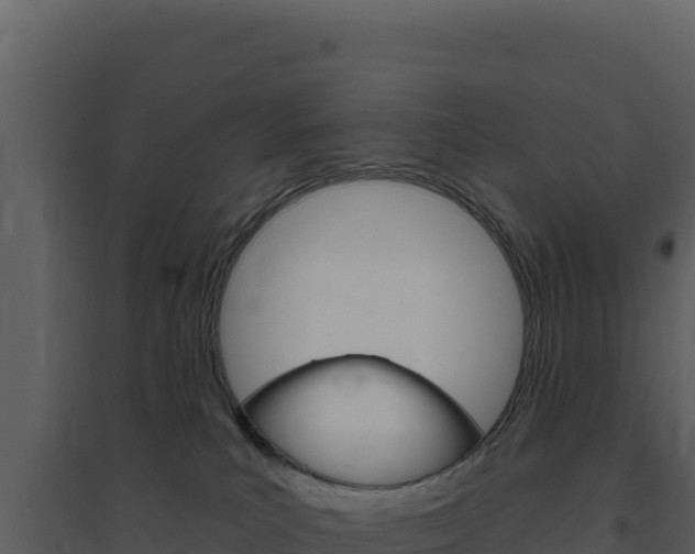 X0000094810039200711161015