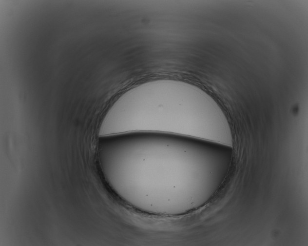 X0000094810040200711161015