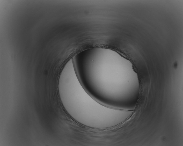 X0000094810041200711161014