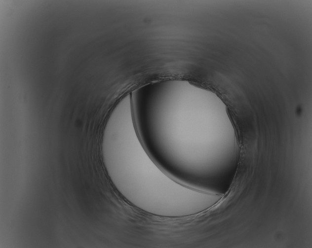 X0000094810045200711161014