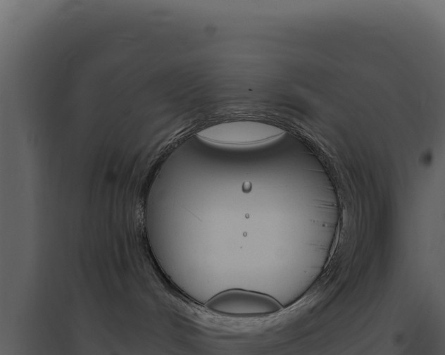 X0000094810048200711161014