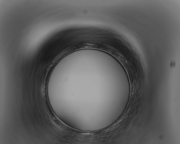X0000094810050200711161014