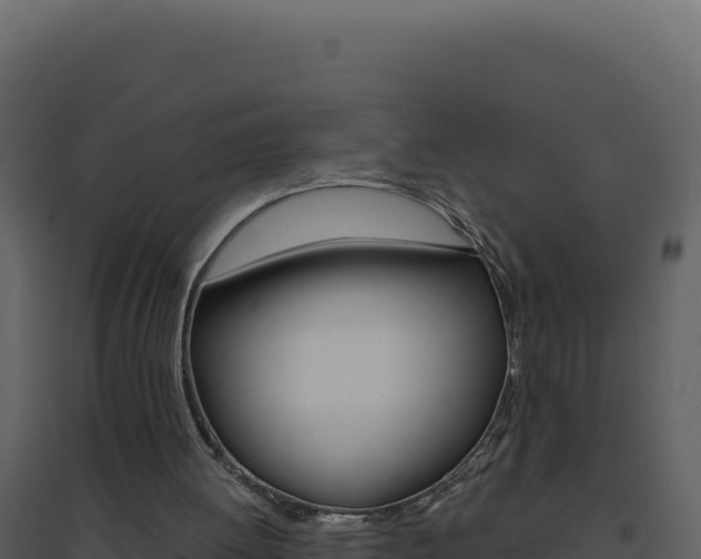 X0000094810052200711161014