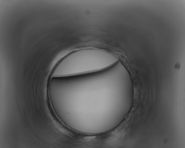X0000094810054200711161014