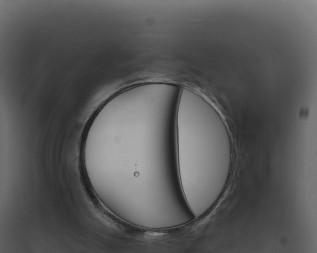 X0000094810055200711161014