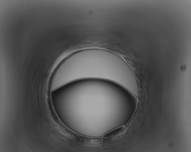 X0000094810056200711161014