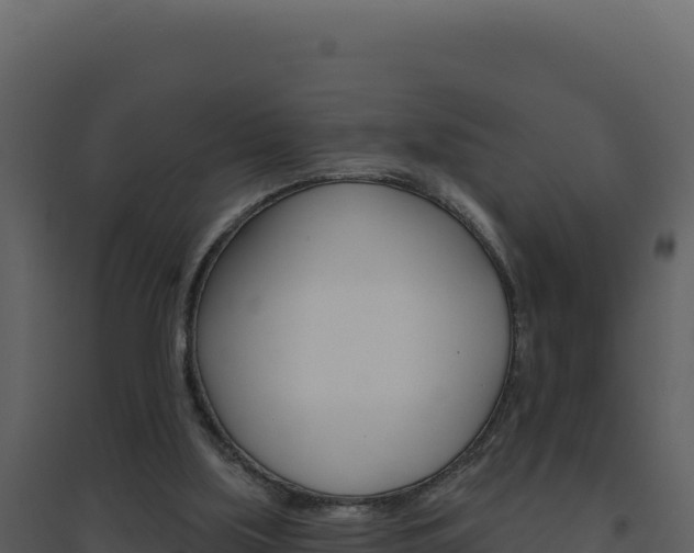 X0000094810059200711161014