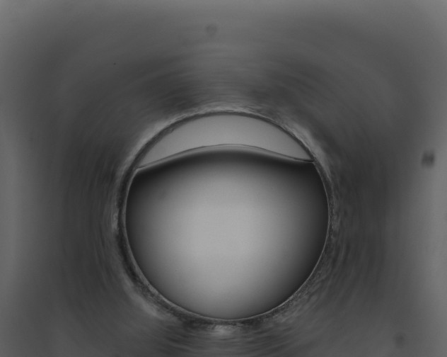 X0000094810060200711161014