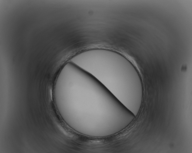 X0000094810061200711161014