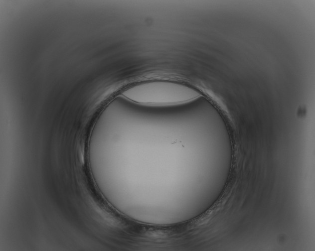 X0000094810062200711161014