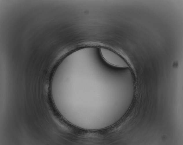 X0000094810063200711161014