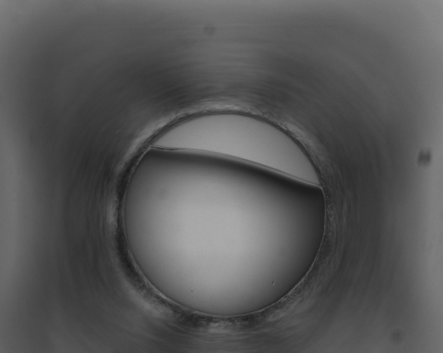 X0000094810064200711161014