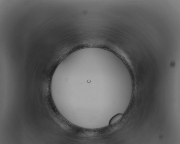 X0000094810065200711161014