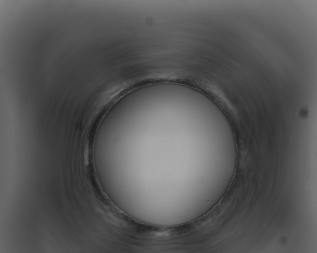 X0000094810068200711161014