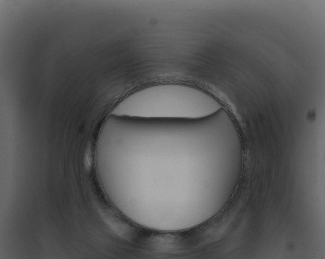 X0000094810069200711161014