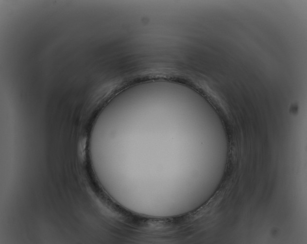 X0000094810070200711161014