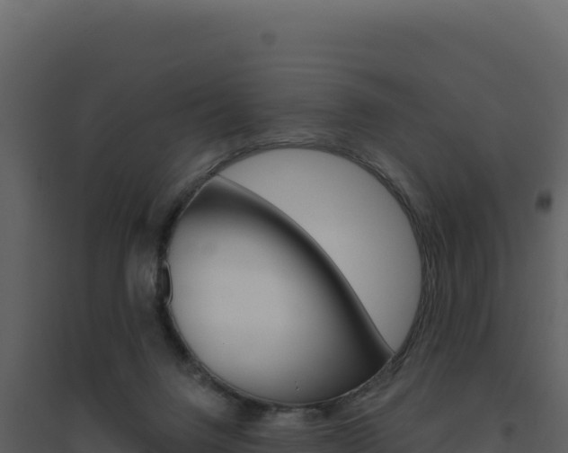 X0000094810072200711161014