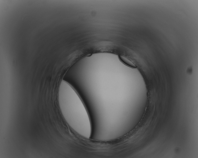 X0000094810073200711161014