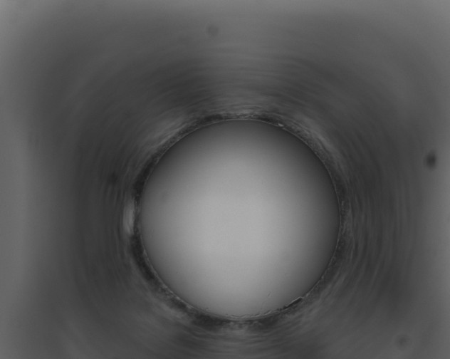 X0000094810076200711161014