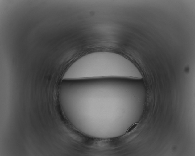 X0000094810078200711161014