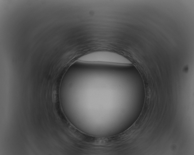 X0000094810080200711161014