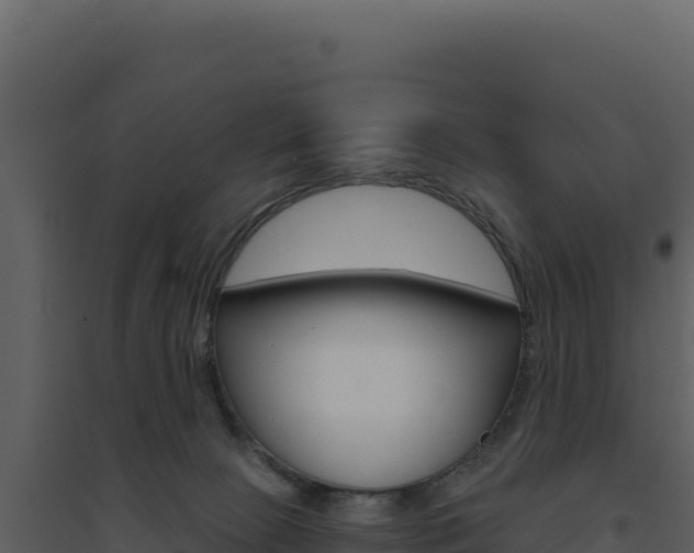 X0000094810081200711161014