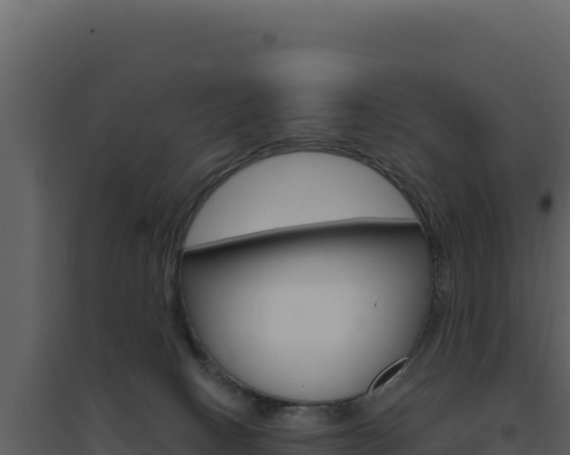 X0000094810082200711161014