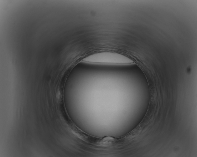 X0000094810084200711161014