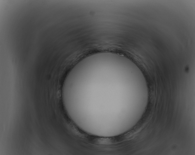 X0000094810085200711161014