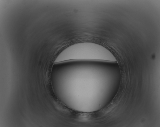 X0000094810088200711161014