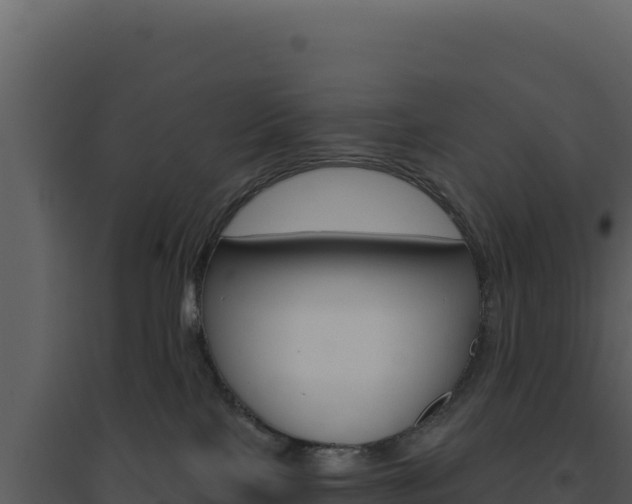 X0000094810089200711161014